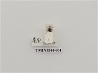 藏品(象鼻蟲科)的圖片